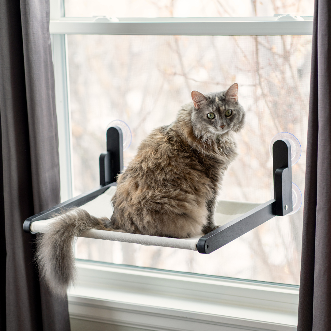 Cat window perch hotsell