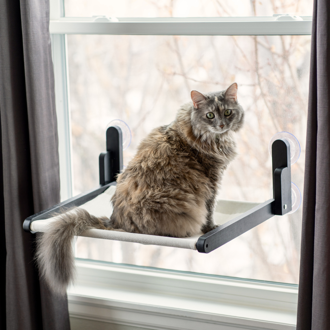 Cat Window Perch White Fabric Wooden Folding Window Hammock cat-window-perch-white-fabric-wooden-folding-window-hammock