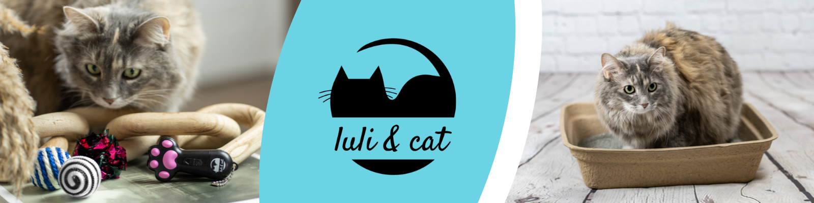 Receive a Donation From Luli & Cat