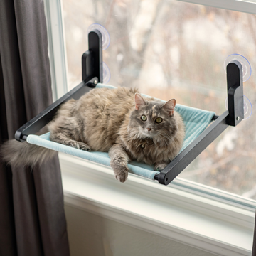 Cat Window Perch - Blue Fabric - Wooden, Folding, Window Hammock