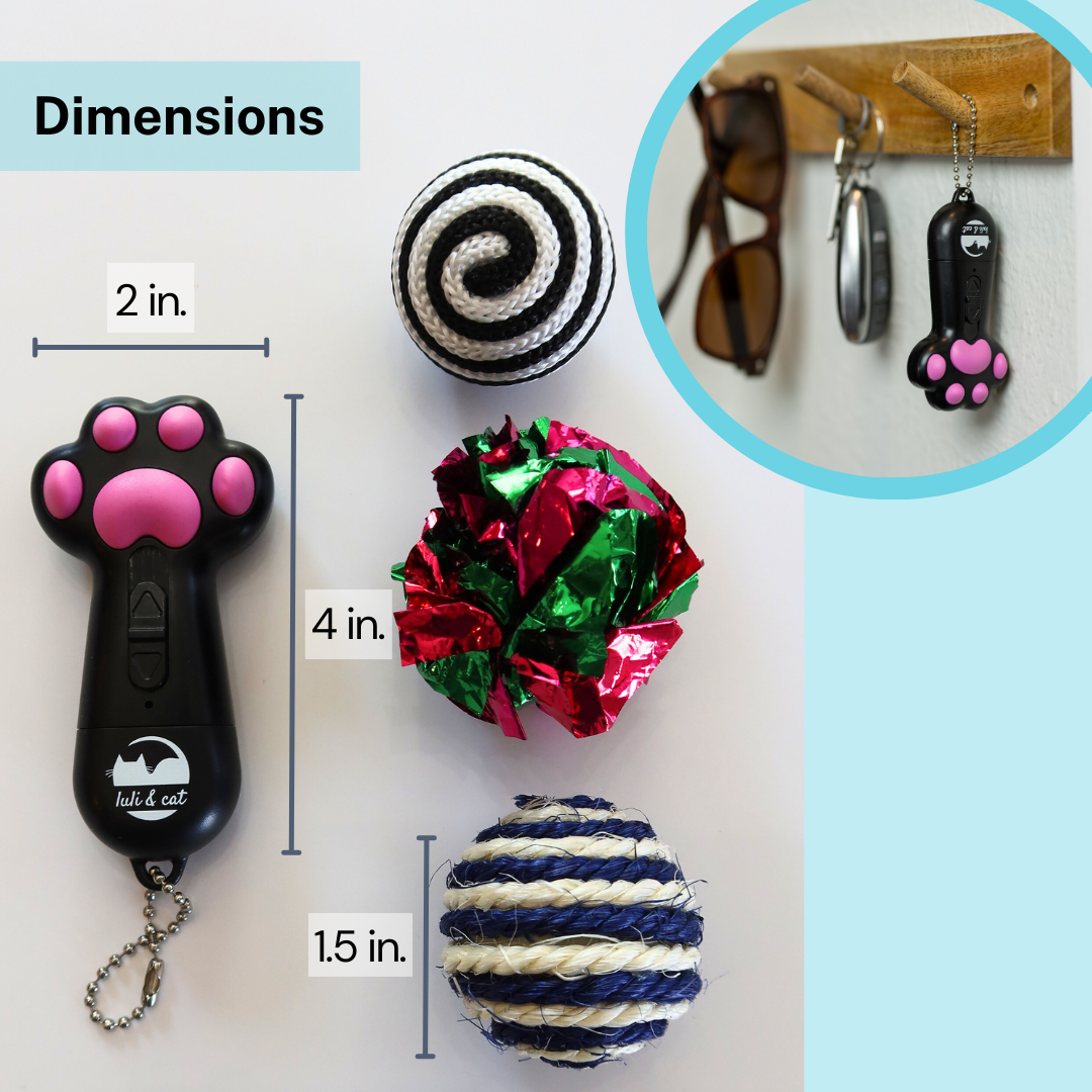 Usb Rechargeable Cat Laser Pointer Usb Rechargeable Cat Laser Pointer