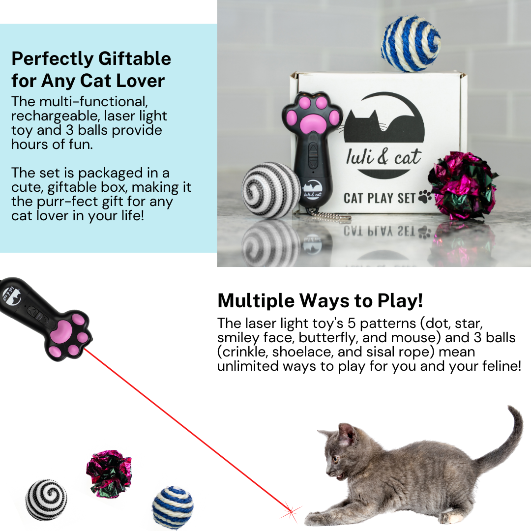 Usb Rechargeable Cat Laser Pointer Usb Rechargeable Cat Laser Pointer
